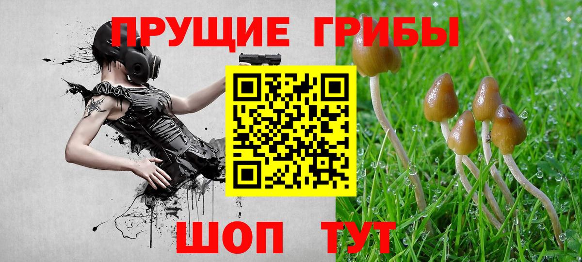 Галлюциногенные грибы мухоморы  Вход с VPN  Галлюциногенные грибы ЛСД  Родники 